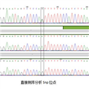 承接实验服务 SNP检测